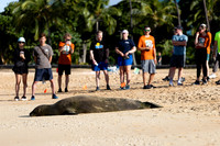 Honolulu 2024 - AFS Annual Meeting